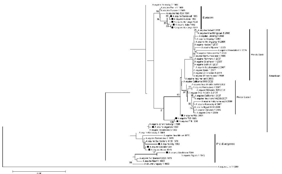 Fig. 2. Phylogenetic analysis of the HA genome. The isolates sequenced in this study are marked with a black square