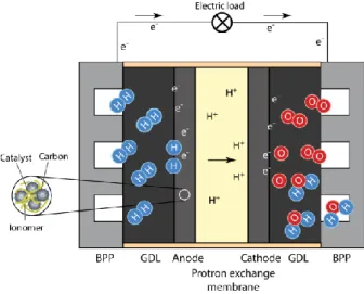 Figure 2.1 shows the schematic illustration of the PEM fuel cell with all its  components