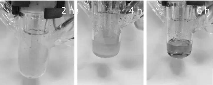 Figure 15. Comparison of two 5 wt%-solutions. To the left (sample  4, Table 2), preparation  based on procedure  S2  stirred for 6 hours at  60°C, and to  the right  (sample  2, Table 2) was  prepared following procedure S1