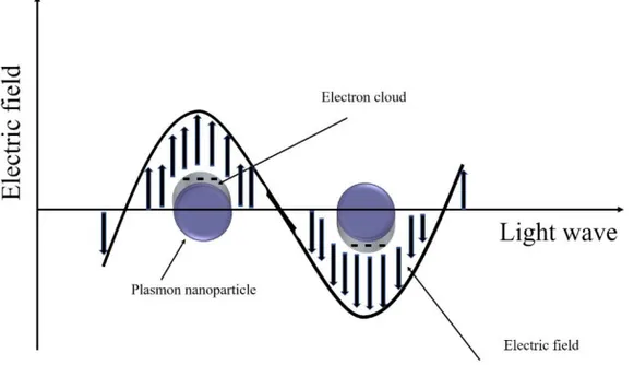 Figure 2-4 Illustration of the surface plasmon resonance in a plasmon  nanoparticles. 