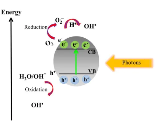 Figure 3-2 Photocatalytic mechanism for dye photodegradation. 