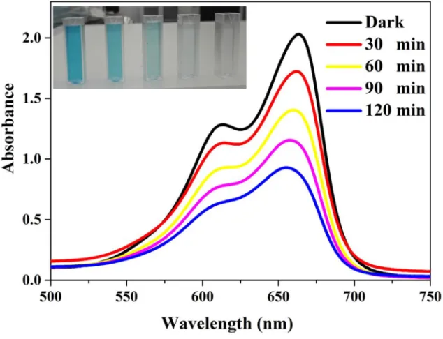 Figure 3-3 Absorbance spectra of MB dye during the photocatalysis  reaction. The inset shows the colour of MB changing to transparent