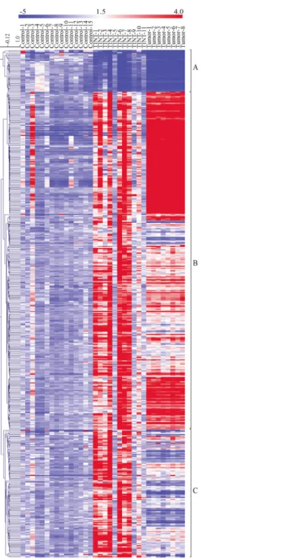 Fig 3. Heatmap showing the relative expression levels of genes differentially expressed between TINT and controls