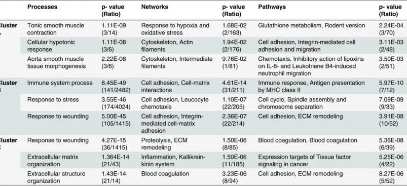 Table 3. Ontology analysis of genes in cluster A, B and C.