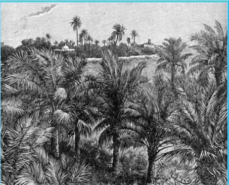 Figure 43: Chaldean Palm Grove  [11] . 