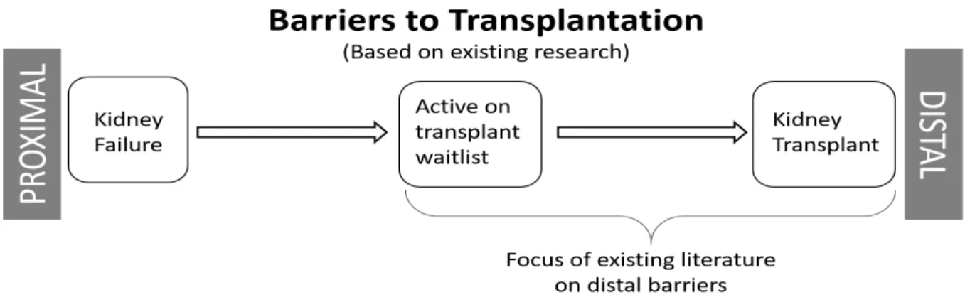 Figure 2. Barriers to Transplantation- focus on distal barriers 
