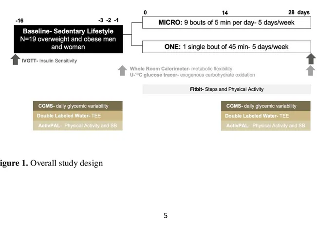 Figure 1. Overall study design 