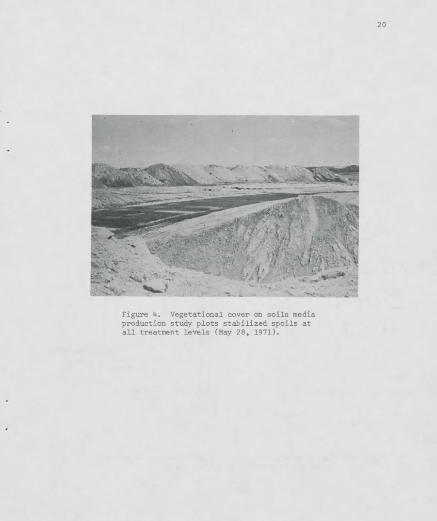 Figure 4.  Vegetational cover on soils media production study plots stabilized spoils at all treatment levels (May 28, 1971).