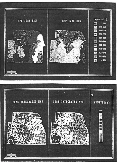 Figure  10.  Top  two  panels:  Simulated  aboveground  net  primary  production  (NPP)  in  the  central  Great Plains for  1986  and  1988