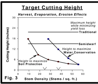 Figure 3 shows the typical maximum height that both traditional height and semidwarf wheat