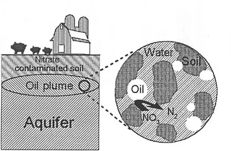 Figure showing  how oil injected  into  the ground  to  create a plume,  might be  used to  protect an aquifer  from  soil  contaminated  with nitrate