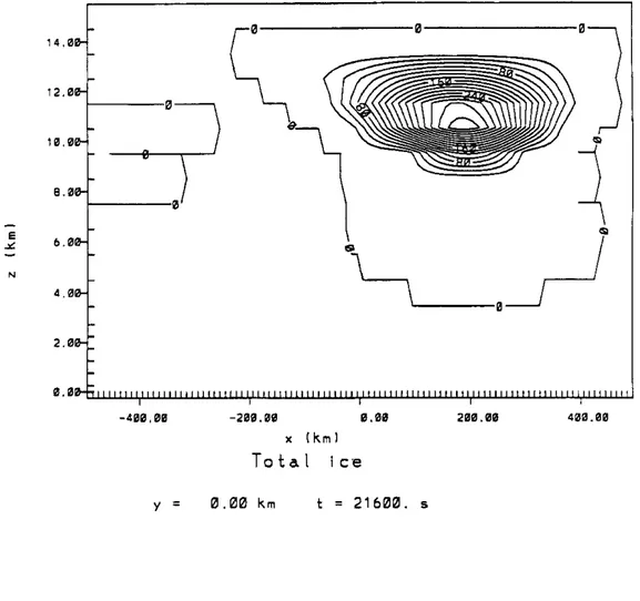 Figure 3.8:  (c)  Control run  at 1000  LST for  totla ice  mixing  ratio. 