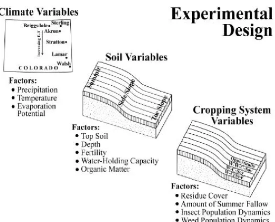Figure 3.  Experimental design with climate, soil, and cropping system variables.