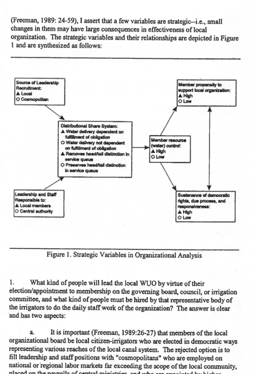 Figure 1. Strategic Variables in Organizational Analysis 