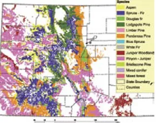 Figure 3: A number of forest types exist throughout  Colorado.