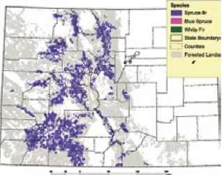 Figure 4: The spruce-ﬁ r forest type is the most  extensive in the state.