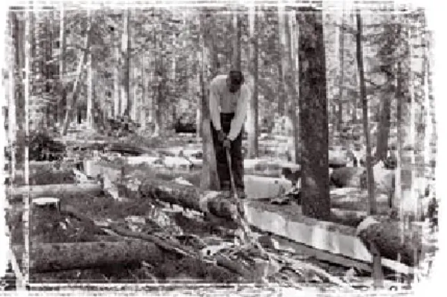 Figure 10: An early tie-hack peels logs to prepare  them for use as railroad ties.