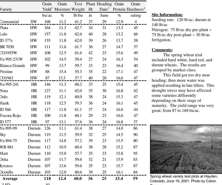 Table 9.  Irrigated spring wheat performance trial at    Center 1  in 2002 by Merlin Dillon.