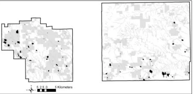 Figure 5.  The Pawnee National Grassland in north-central Colorado.  The eastern (Pawnee) and  western (Crow Creek) administrative boundaries are shown in black, with the patchwork of public  (gray shapes) and private ownership