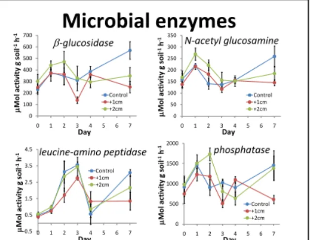 Figure C1.  Induction of microbial enzymes varied relative  to addition of water pulses  