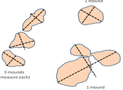 Figure 1- How to measure gopher mounds 
