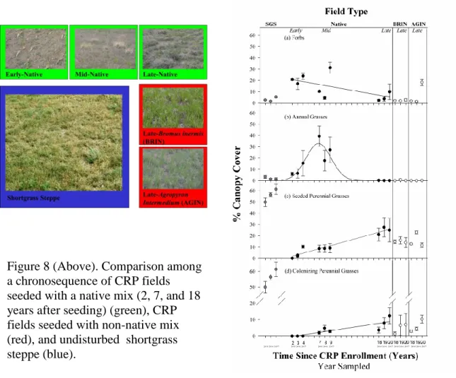 Figure 9 (Right). Mean percent canopy cover (± SE) of forbs (a), annual grasses (b),  seeded perennial grasses (c), and colonizing perennial grasses (d) in SGS, and in  relation to time since CRP enrollment in the chronosequence of CRP fields seeded  with 