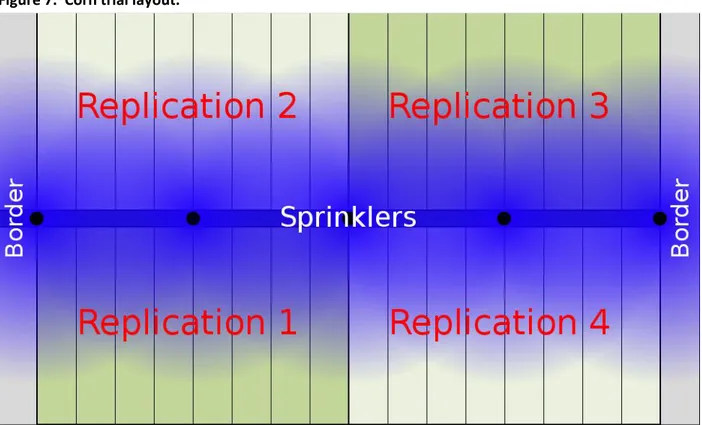 Figure 7.  Corn trial layout. 