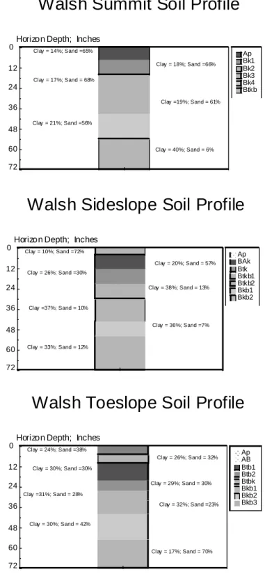 Figure 2c.  Soil profile textural characteristics for soils at the Walsh site.
