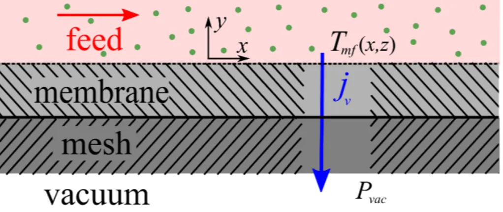 Figure 3.2: Sketch (not to scale) showcasing the mass transport through the hydrophobic membrane and mesh via an idealized pore, where j v is defined by equation (3.1).