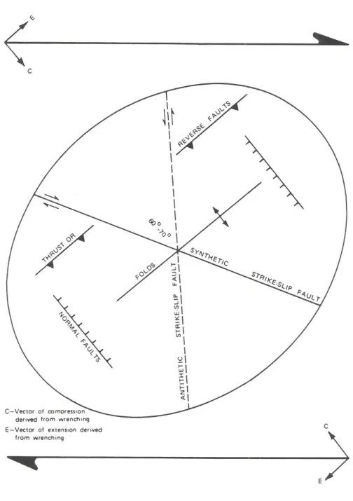 Figure 2.4  Structural patterns predicted by Harding (1973) for right-lateral wrench  faulting