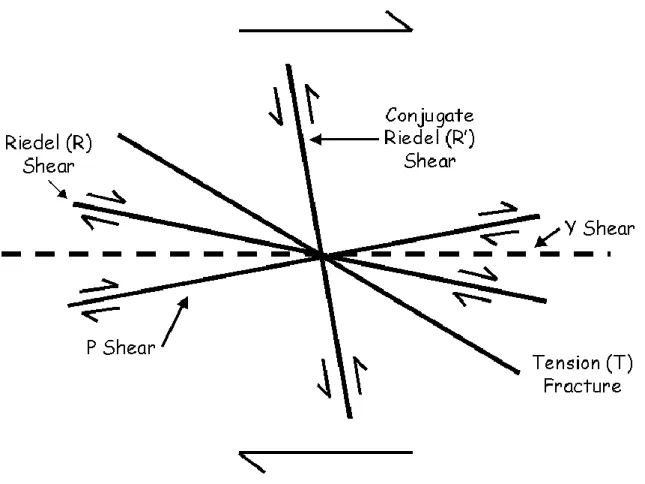 Figure 2.8  Angular relations between structures that tend to form in right-lateral  simple shear under ideal conditions