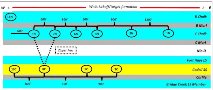 Figure 1.6 Cross section through the lateral wells relative to the target intervals. Cross  section depicted in Figure 1.7 (RCP, 2017) 