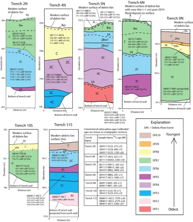 Fig. 2. One-meter wide sections showing stratigraphy exposed in each trench shown in Figure 1