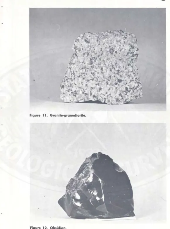 Figure  11.  Granite-granodiorite. 
