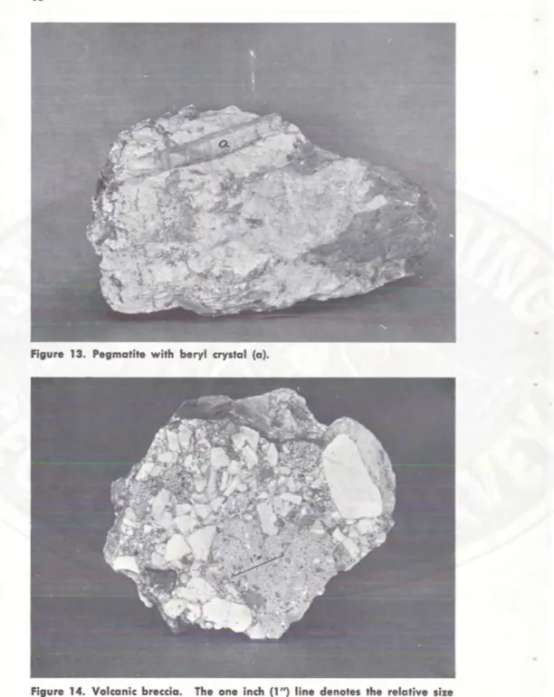 Figure  13.  Pegmatite  with  beryl  crystal  (al. 