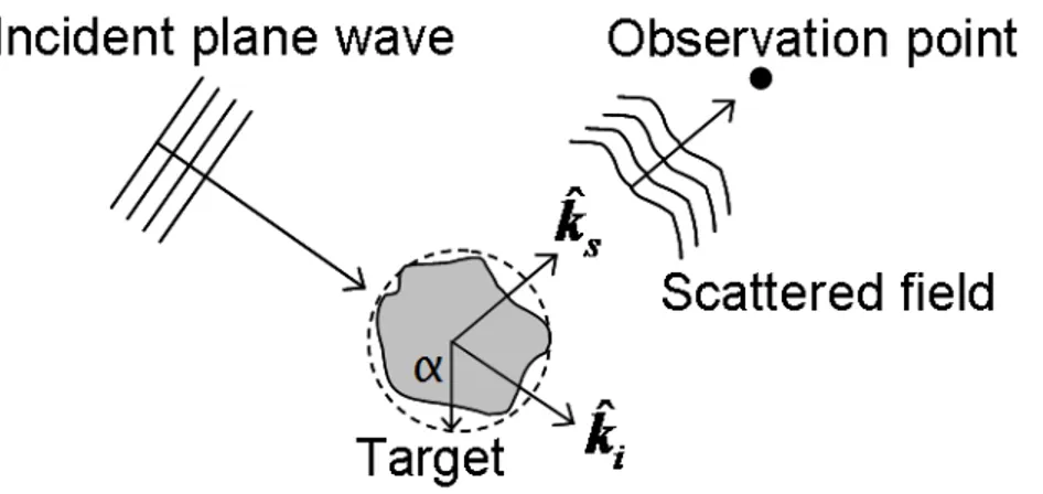 Figure 2.2: Sonar Wave Scattering