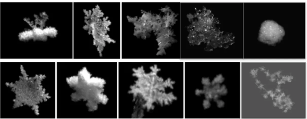 Figure 2. Characteristic examples of images of snowflakes with contrasting forms collected by the  MASC (Figure 1) at the MASC + Radar (MASCRAD) field Site during the 2014/2015 MASCRAD  winter campaign