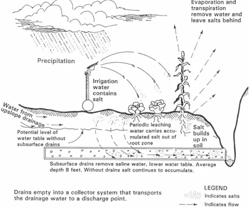 Figure 2 illustrates the salinization process in irrigated terrestrial system and is described as  follows