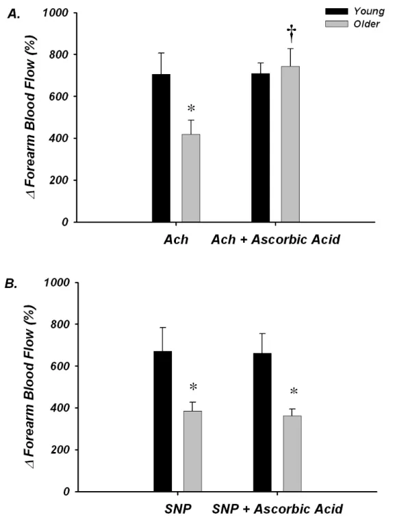Figure 6:  Forearm vasodilatation to intra-arterial infusion of acetylcholine and  sodium nitroprusside in young and older adults