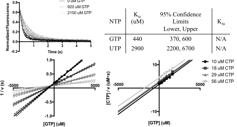 FIG  2.3  GTP  and  UTP  are  competitive  inhibitors  of  CTP  incorporation.  Upper  left:  Representative  fluorescence  traces  from  a  GTP  titration  against  a  constant  CTP  concentration