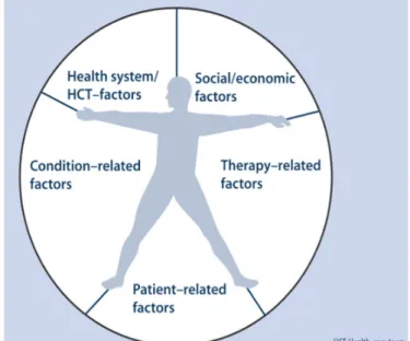Figure 1. The 5 dimensions of adherence 2