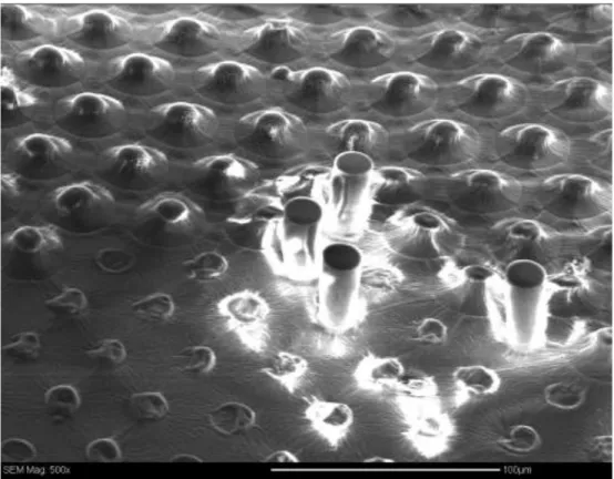 Fig 6: SEM pictures 