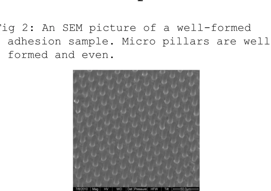 Fig 2: An SEM picture of a well-formed 