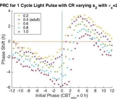 Figure 4.3 One Cycle PRC varying s 2 . The x-axis is the Initial Phase where an Initial Phase = 0 corresponds to CBT min 