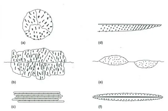 Figure 2.9: Schematic drawings of the six morphologies of bainite according to Aaronson et al.: (a) nodular bainite, (b) columnar bainite, (c) upper bainite, (d) lower bainite, (e) grain boundary allotriomorphic bainite, and (f) inverse bainite [1]