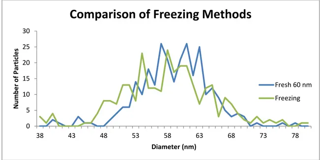 Figure 2-6: Effect of -10 ˚C freezing on nanoparticle size 60nm PVP capped particles. 