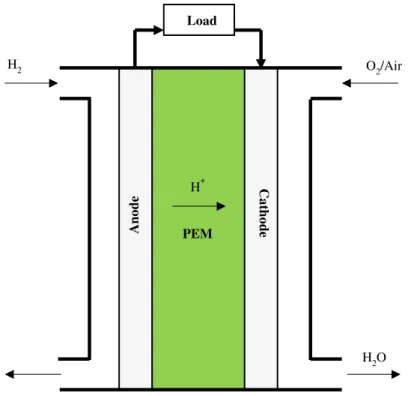 Figure  1.5 A schematic representation of the proton exchange membrane fuel cell (H 2 )