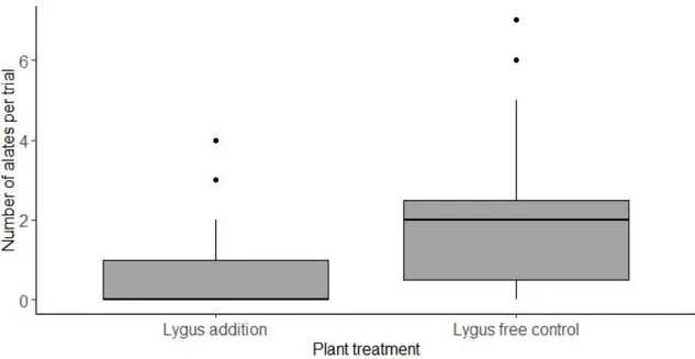 Figure 3: Boxplots showing the preference of A. asclepiadis alates to plants with L. 