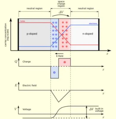 Figure 1-9: Development of the space charge region for heterojunction solar cell. [14] 