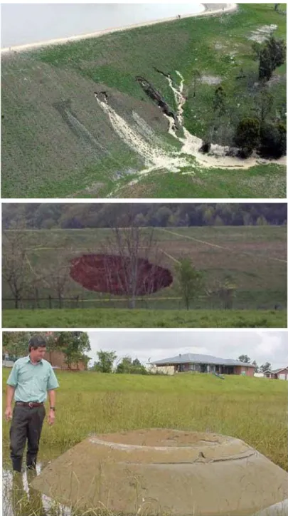 Fig. 1.1 Internal erosion through an embankment dam (top), sinkhole likely resulting from  concentrated leak erosion below an embankment dam (middle) and sand boil downstream of an  earthen levee (bottom)